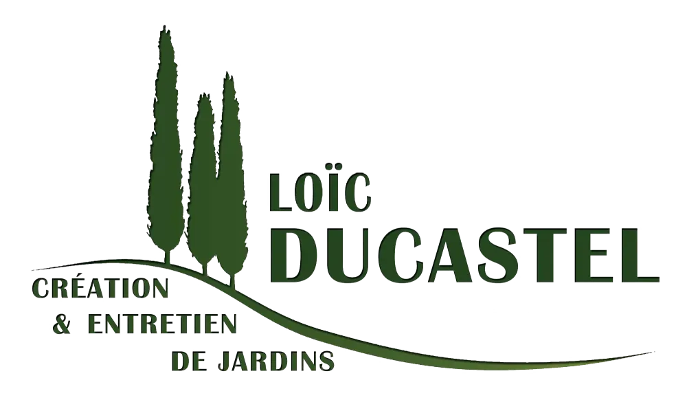 Logo Loic Ducastel (3)