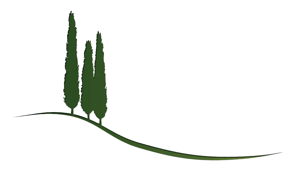 Logo Loic Ducastel (5)