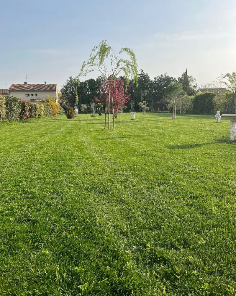 entretien de jardin (3)