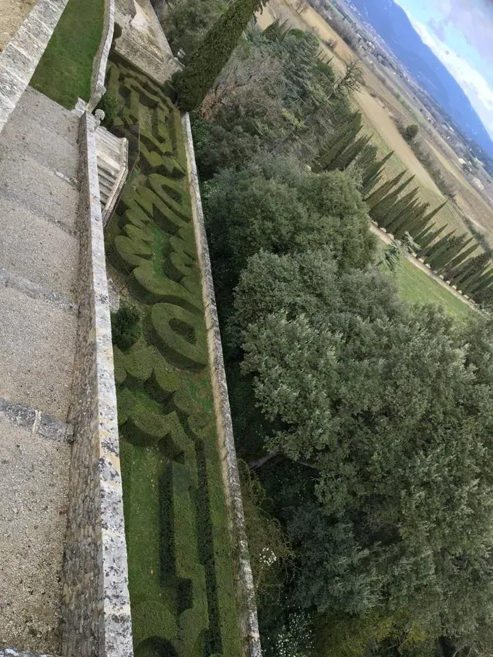 taille et entretien haie (9)