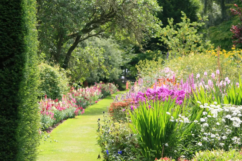 jardin (2)